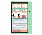 WhiteCoat Clipboard® - Mint Respiratory Edition